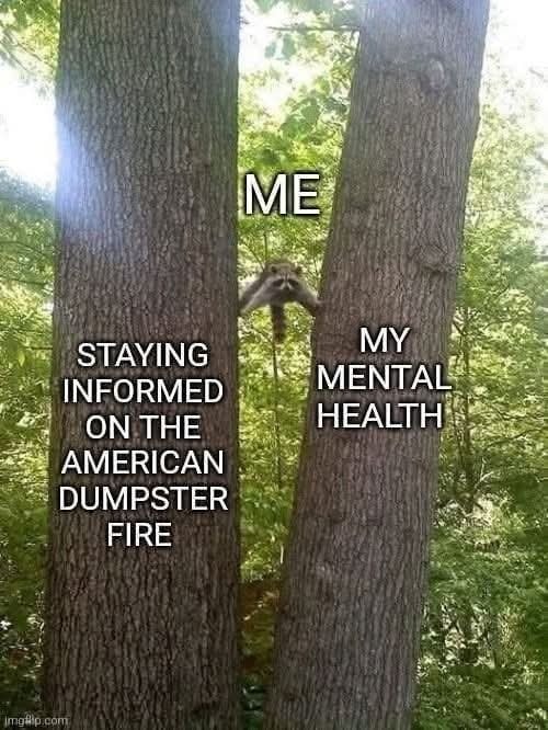 Okay, let's break down this image/meme with the requested theoretical lenses. **Visual Description** The image depicts a monkey clinging to a branch between two large, textured tree trunks. The lighting suggests a for...