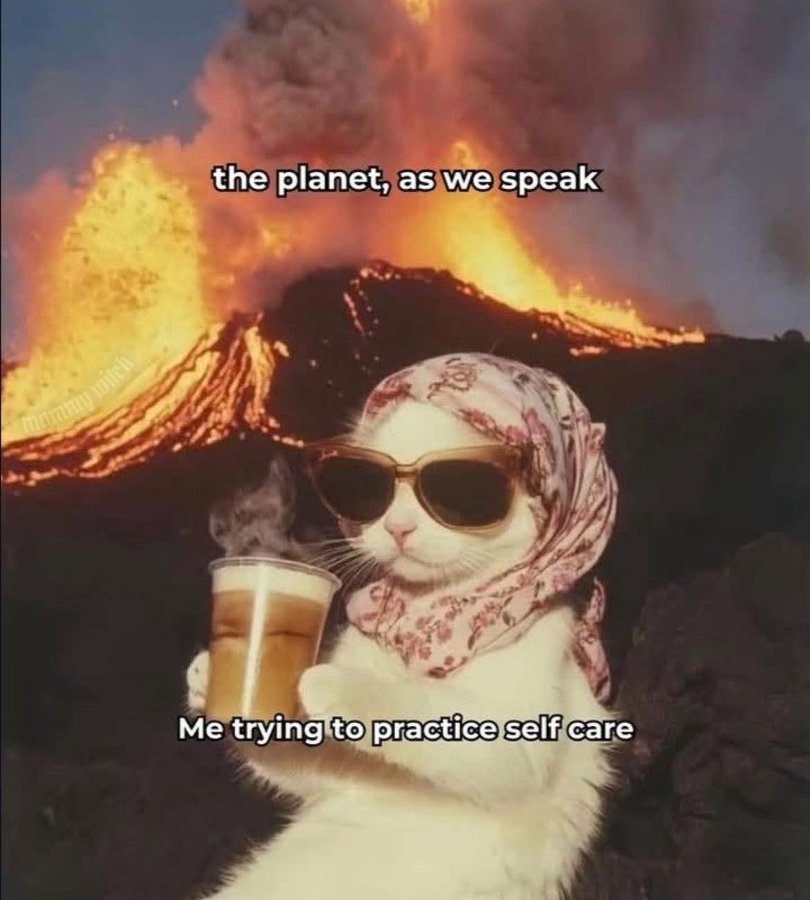 543415259_10232704071118540_8095893091979614979_n