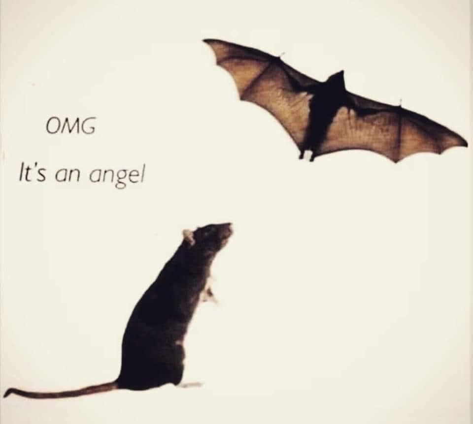 Here's an analysis of the image, broken down into relevant sections. Due to the nature of the image, certain frameworks will apply more strongly than others. **Visual Description** The image is a somewhat grainy, sepi...