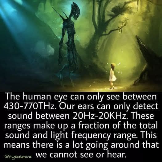 Okay, let's break down this image and its accompanying text through the requested theoretical lenses. **Visual Description** The image depicts a fantastical, somewhat eerie forest scene. A young girl in a white dress...