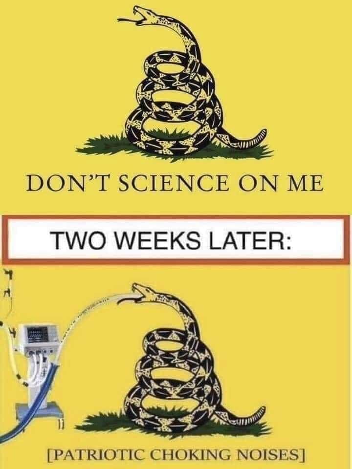 Okay, let's break down this meme with the requested analytical frameworks. It's a surprisingly layered piece, especially for a seemingly simple image-macro. **Visual Description** The meme consists of two panels set a...