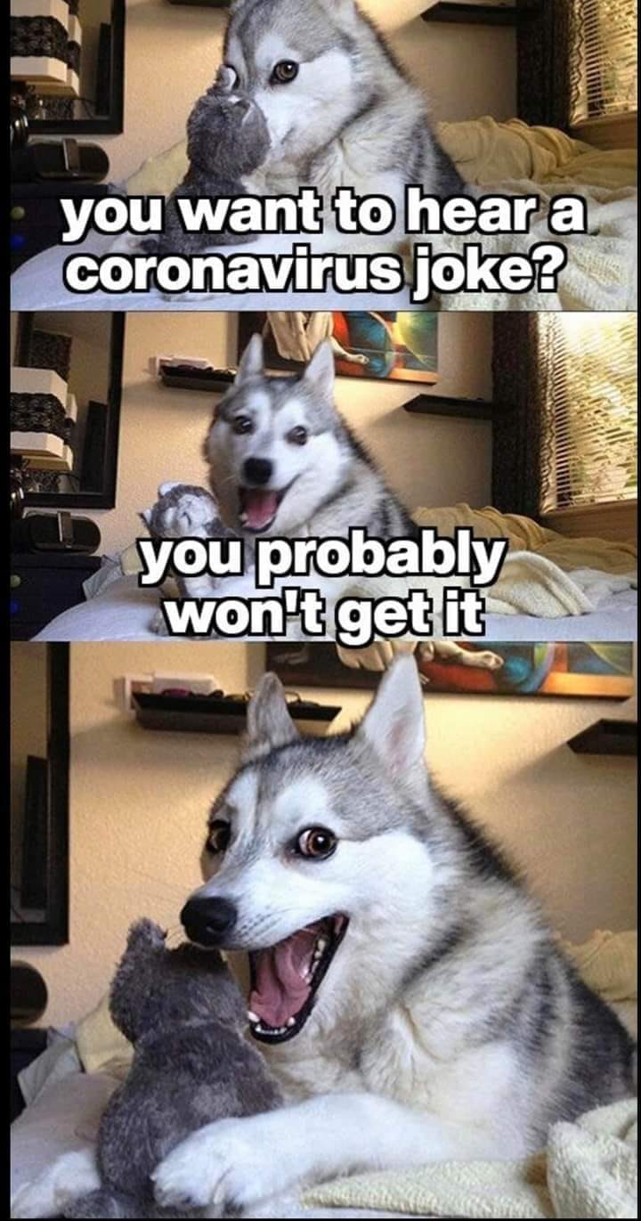 Okay, let's break down this meme through the lenses of the requested theoretical frameworks. **Visual Description** The image is a multi-panel meme featuring a Siberian Husky. Each panel uses a different close-up shot...