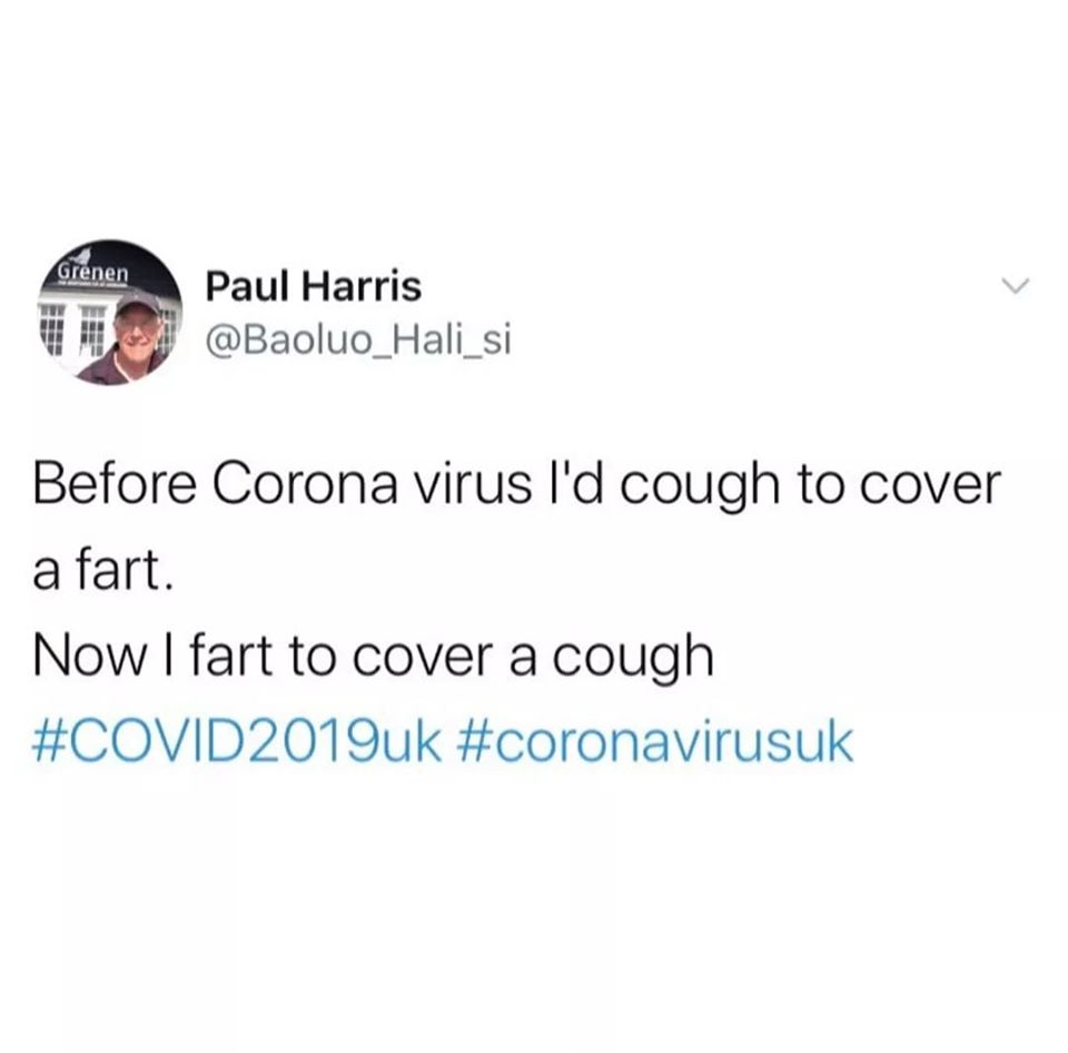 Okay, here's an analysis of the tweet, broken down into sections as requested, only including sections where the topic genuinely applies. It's a quirky tweet, so some sections will be more robust than others. **Visual...