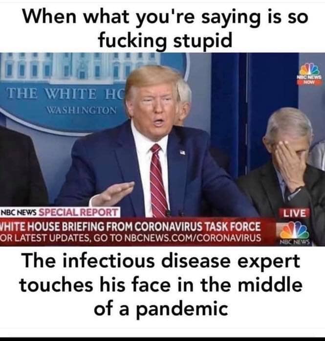 Okay, let's break down this meme through the lenses you've requested. It's a loaded image, so we'll get a few layers of analysis here. **Visual Description** The image is a screengrab from a White House briefing durin...