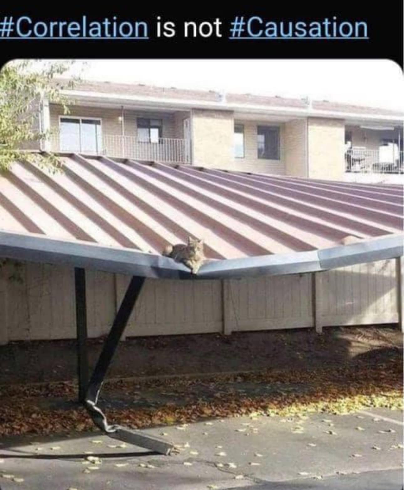 Okay, let's break down this image with the requested theoretical lenses. It's important to note that applying these complex frameworks can be interpretive, and multiple readings are possible. **Visual Description** Th...