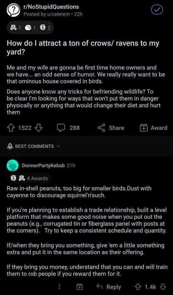 Okay, let's break down this Reddit post and comment through the lenses you've requested. It's a quirky little interaction, so not all lenses will apply equally, and some might feel like a stretch – that's inherent in...