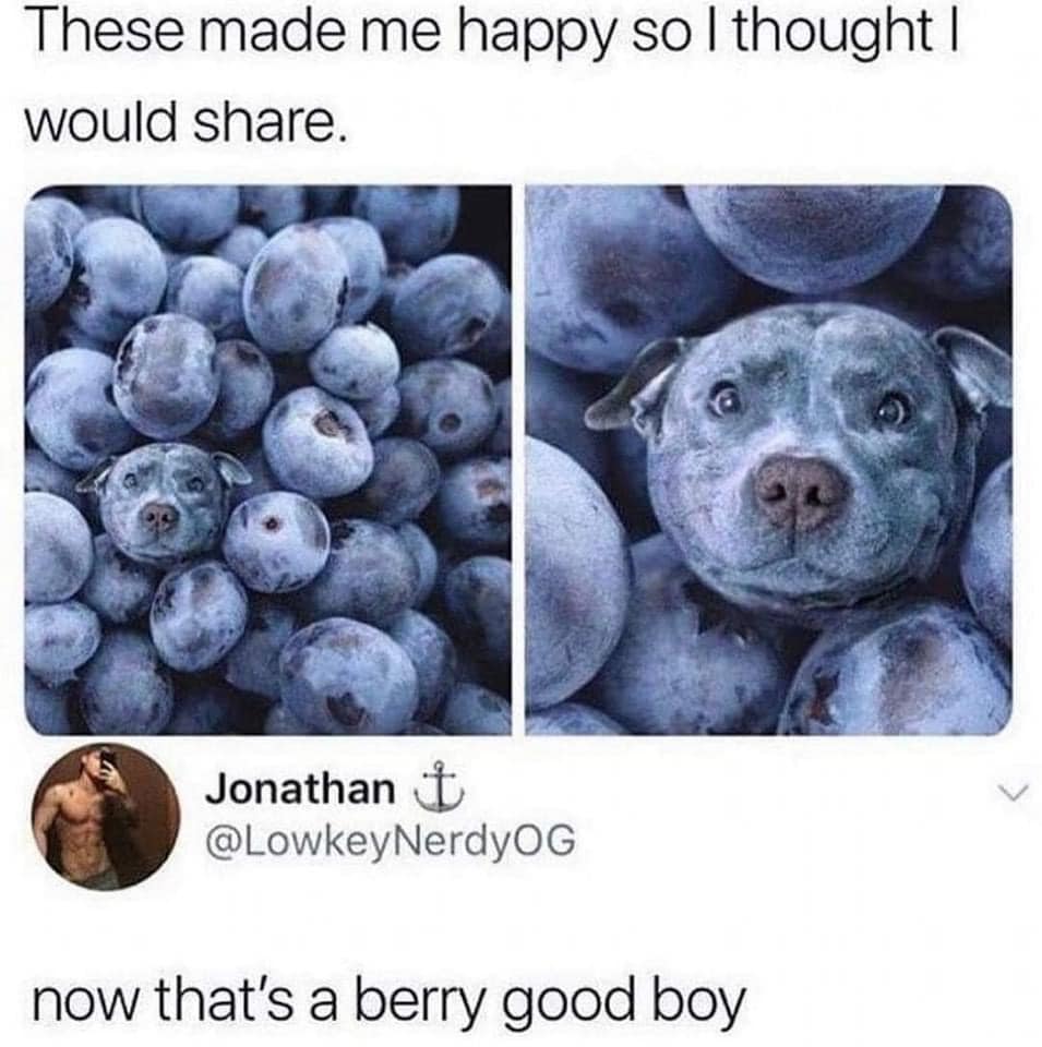 Okay, here's an analysis of the image and caption, broken down into relevant sections. Given the nature of the content (a meme), some of these sections will be more developed than others. **Visual Description** The im...