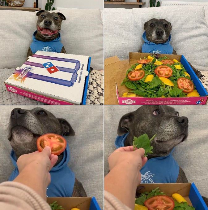 Okay, here's an analysis of the image series, broken down into sections as requested. I'll only include sections where the framework genuinely applies and can offer insightful commentary. The goal is not to force-fit...