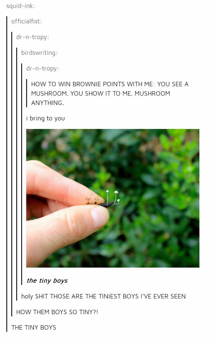 Okay, let's break down this fascinating little image and text combination using the frameworks you requested. It's a bit… quirky, so some areas will be more applicable than others. **1. Visual Description** The image...