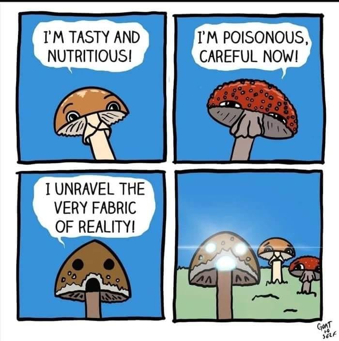 Okay, here's an analysis of the comic, broken down into sections as requested. Not all sections will be used, as some theories are not as readily applicable. ## Visual Description The comic is a four-panel strip drawn...