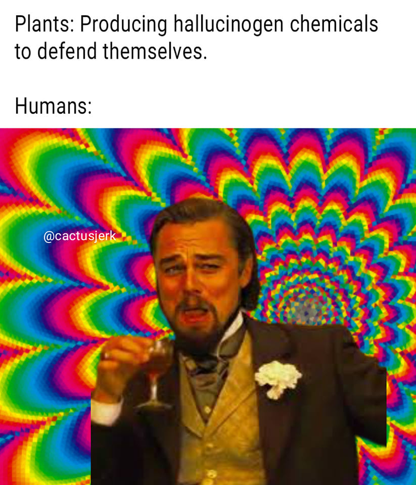 Okay, here’s an analysis of the image, broken down into sections addressing the requested theoretical frameworks. It's important to note that applying *all* of these frameworks isn't always necessary or even fruitful;...