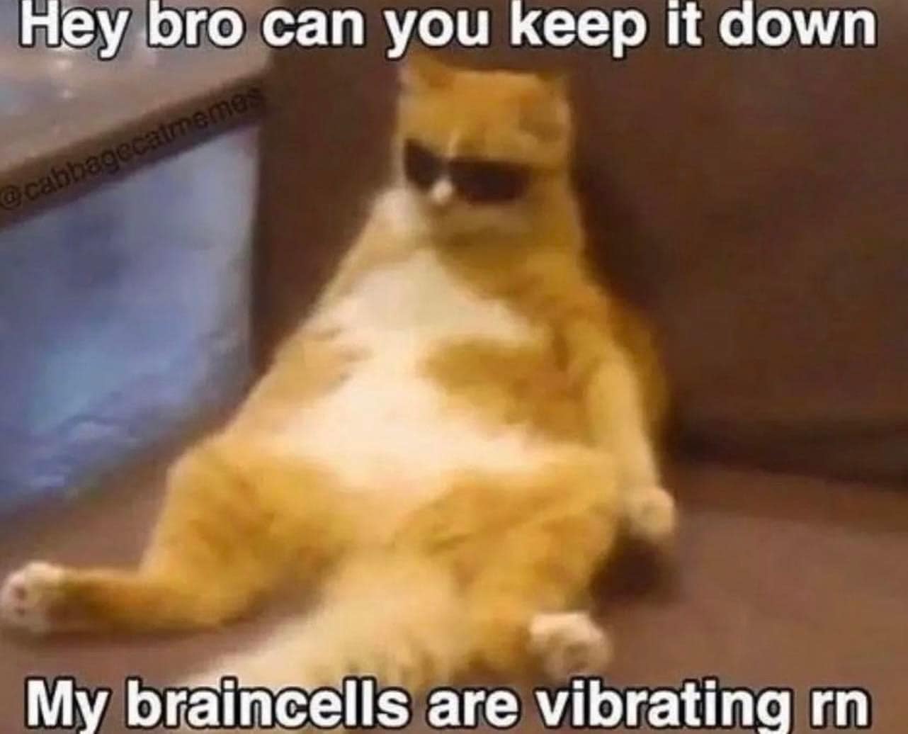 Okay, let's break down this meme through the lenses you've requested. It's a rich image for surprisingly complex analysis given its base silliness. **Visual Description** The meme features an orange tabby cat lying on...