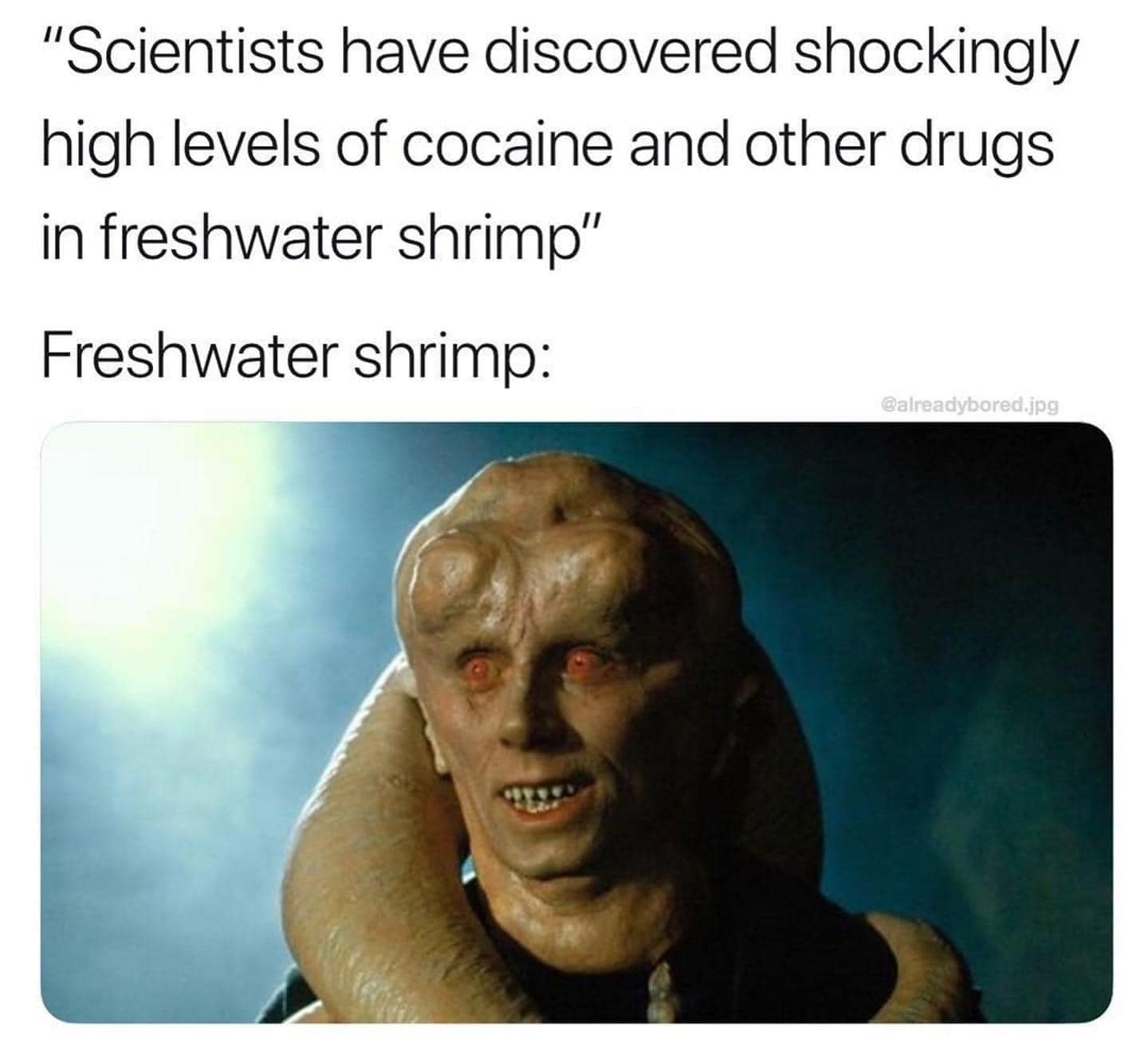 Okay, let's break down this meme through the lenses of various theoretical frameworks. It's a rather bizarre image, so some frameworks will be more applicable than others. **Visual Description** The meme combines text...