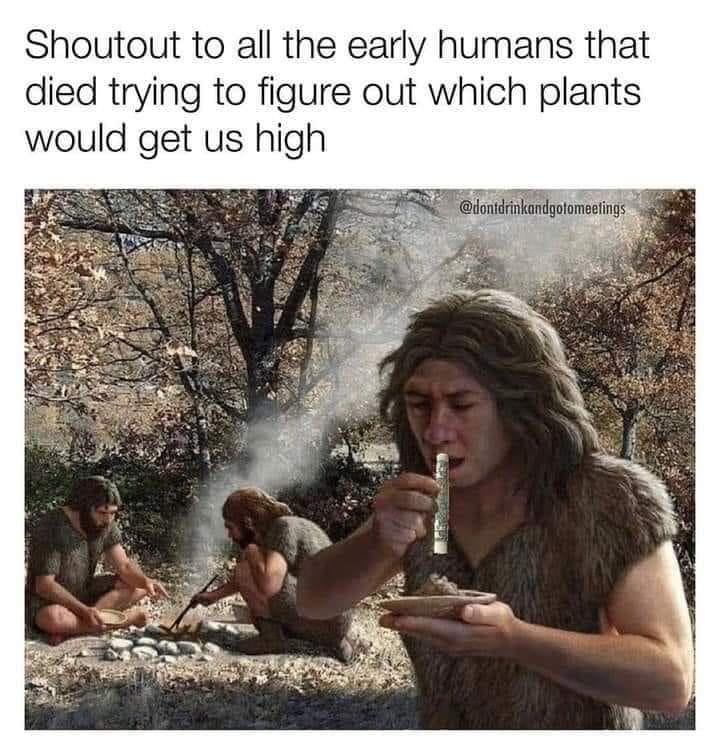 Okay, here's an analysis of the image and its accompanying text, broken down into sections as requested. I'll only include sections where the theoretical framework genuinely applies. ## Visual Description The image de...