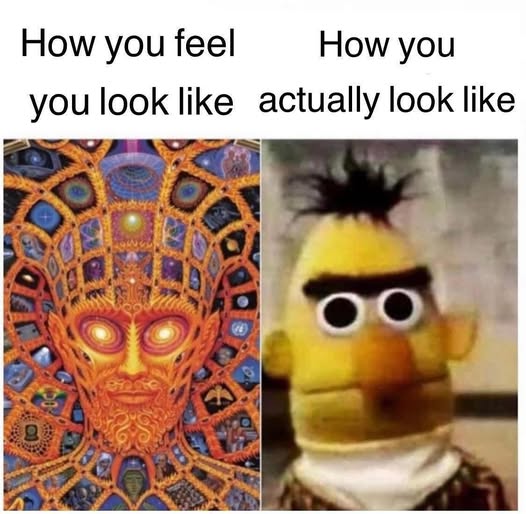 Okay, let's break down this meme through the requested theoretical lenses. It's a delightfully absurd and layered image, offering surprisingly rich ground for analysis! **1. Visual Description** The meme is a comparat...