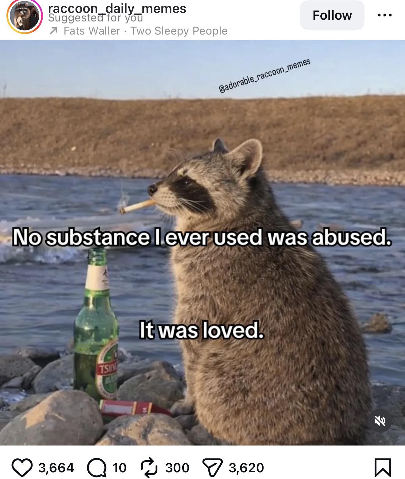 This meme visually depicts a raccoon holding a pipe with an empty bottle of beer next to it, implying that someone had access to drugs or alcohol without being forced into them. The text reads, "No substance I ever us...