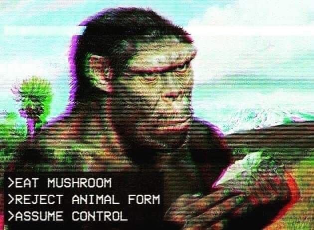 Okay, here's an analysis of the image, broken down into sections addressing the requested theoretical lenses. Note that some lenses *really* stretch to fit, and some are more applicable than others. I'll make clear wh...