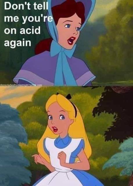 Okay, let's break down this meme image through a few critical lenses. **Visual Description** The image is a two-panel meme, a juxtaposition of screen captures from Disney's *Alice in Wonderland*. * **Top Panel:** Feat...