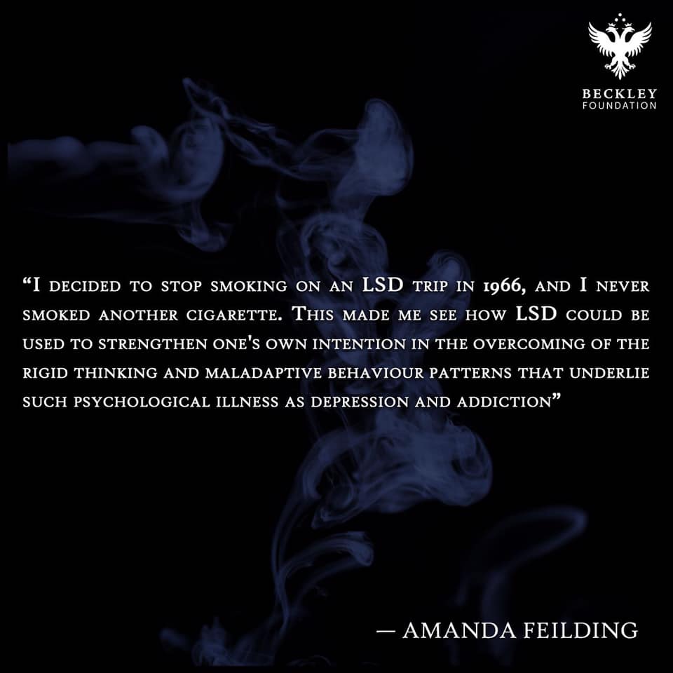 Okay, let's break down the image and its associated text using the requested theoretical lenses. It’s important to note that applying these lenses is an *interpretation*, and multiple valid readings are possible. I'll...