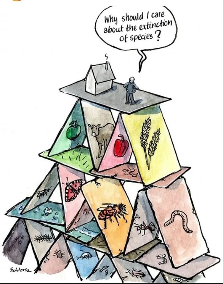 Okay, let's break down this image through several theoretical lenses. **Visual Description** The image is a cartoon-style illustration, resembling a precarious tower built from triangular "slices" or segments, like th...
