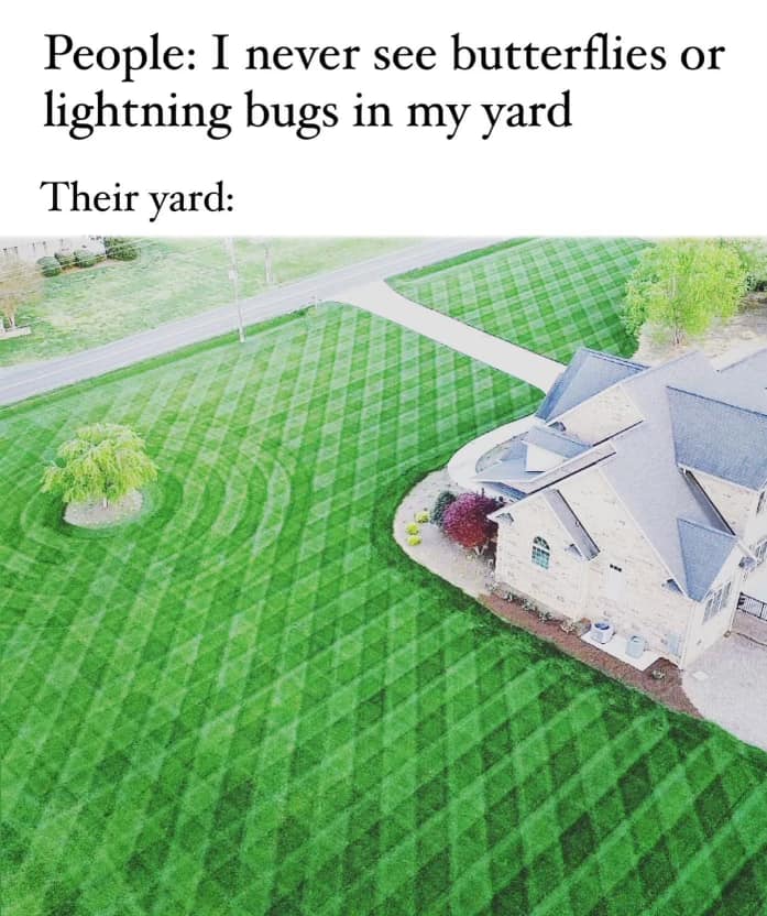 Okay, let's break down this image and its caption through several theoretical lenses. **Visual Description** The image presents an aerial view of a large, impeccably manicured lawn surrounding a substantial, modern ho...