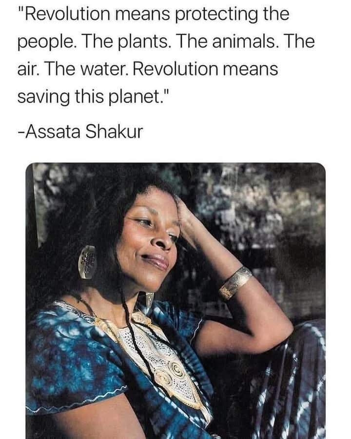 Okay, here's an analysis of the image and quote, broken down into sections as requested. I'll flag when a section *doesn't* apply, and indicate the level of application based on what’s visible and the quote’s core the...