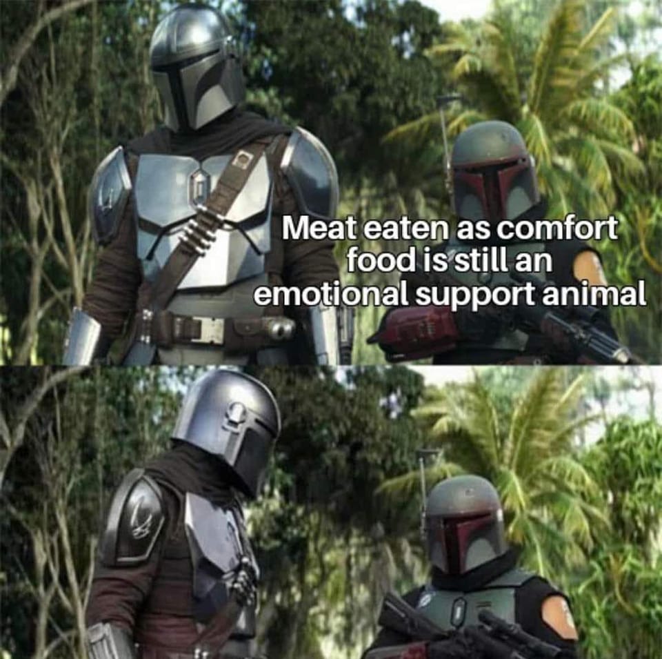 Okay, let's break down this meme, "Meat eaten as comfort food is still an emotional support animal" (featuring characters from *The Mandalorian*), through a few relevant theoretical lenses. I’ll only cover sections wh...