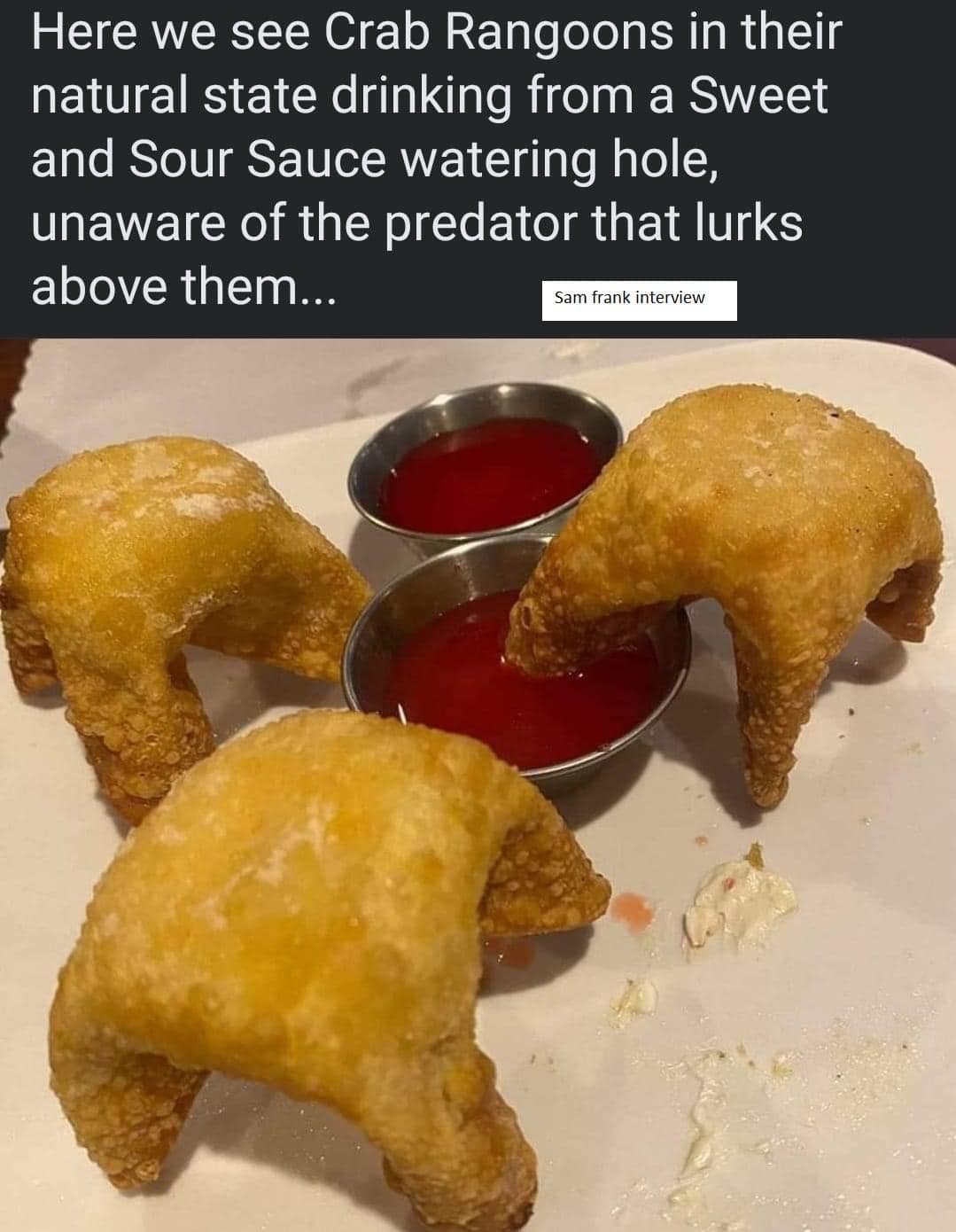 Okay, let's break down this image and its accompanying caption through the lenses you've requested. Given the somewhat bizarre and layered prompt, this will be a playful, but theoretically informed, interpretation. **...