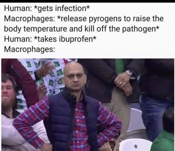 Okay, let's break down this meme using the lenses you've requested. It's a layered meme, so there's a surprising amount to unpack. **Visual Description** The meme utilizes the "Distracted Boyfriend" stock photo. A man...