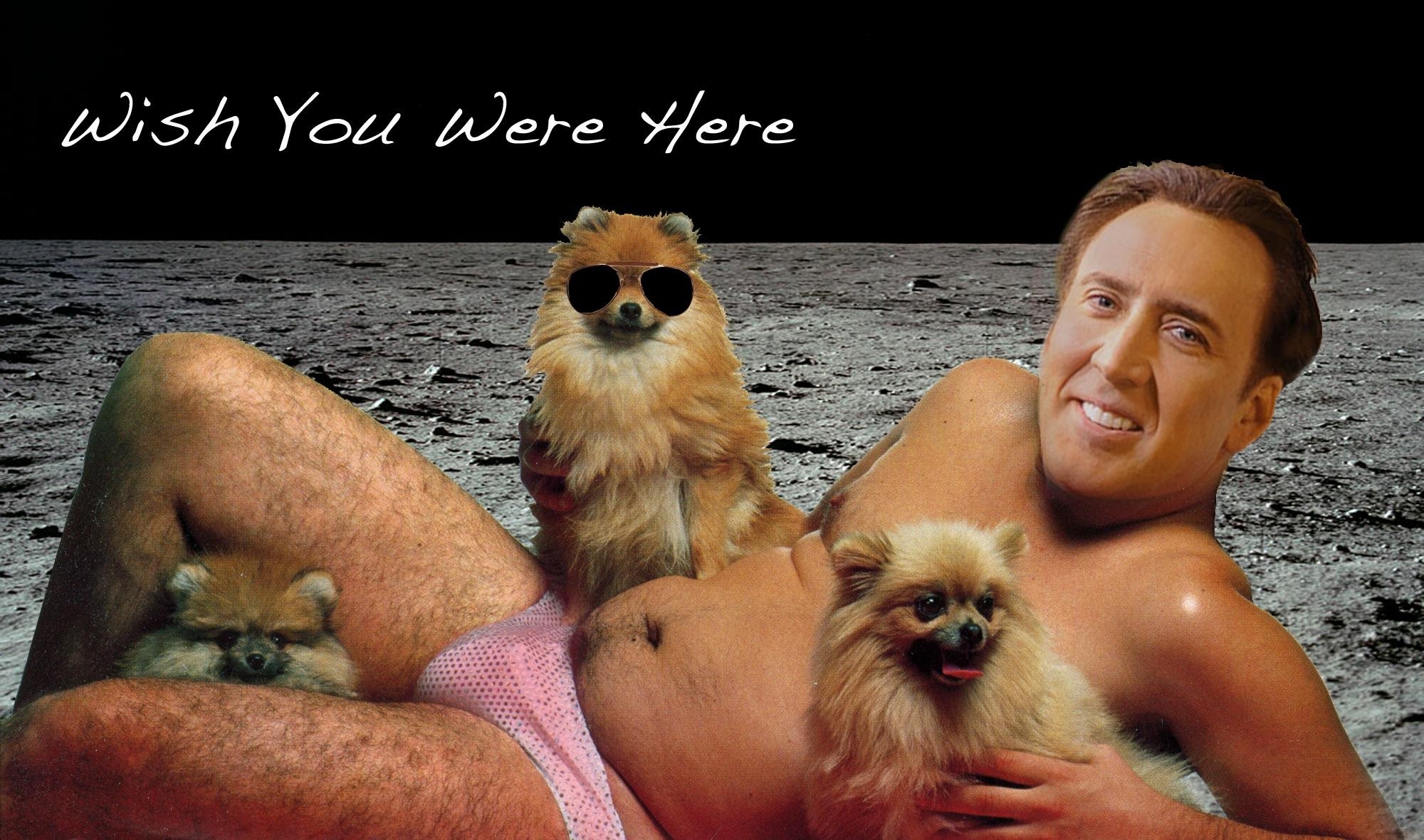 Okay, here's an analysis of the image, broken down into sections as requested, focusing on applicable theoretical frameworks. It's a very... unique image, so some analyses will be more developed than others. ## Visual...