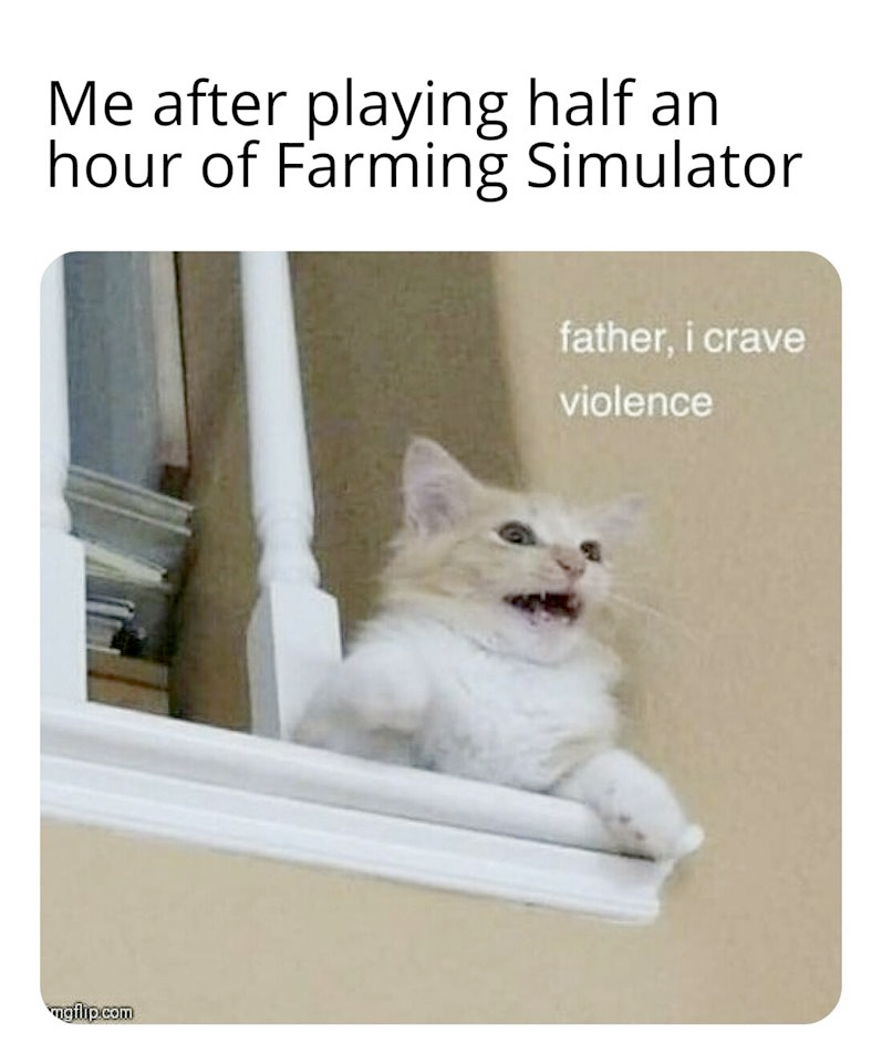 Okay, here's an analysis of the image and text using the requested theoretical frameworks, with sections only where applicable. It's a bit of a stretch applying some of these to a meme of a cat, but I'll attempt it as...