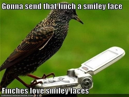 Okay, here's a breakdown of the image and its potential analysis, broken down into the sections you requested. Note that some sections might be more applicable than others given the nature of the meme. ## Visual Descr...