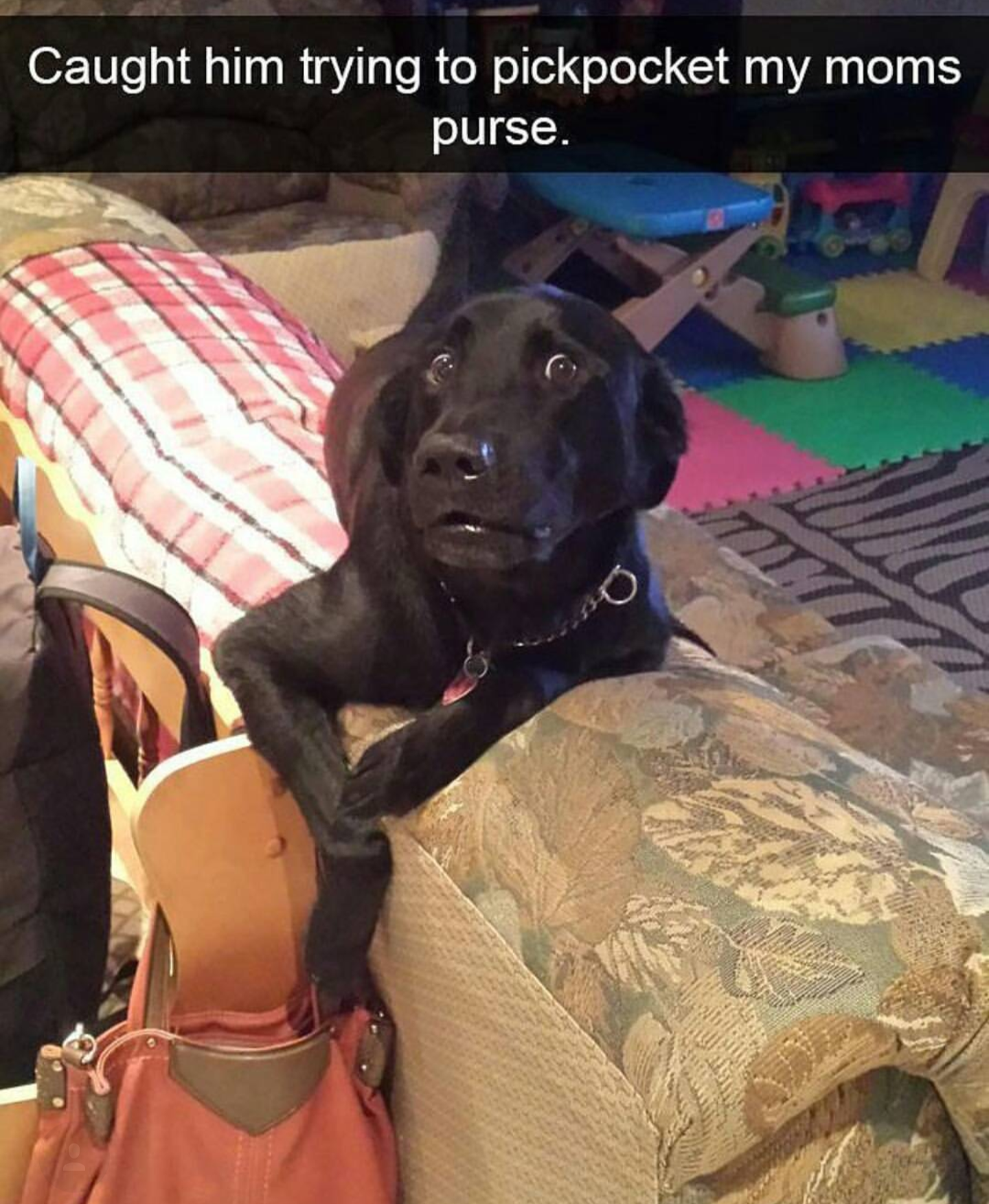 Okay, here's an analysis of the image, broken down into sections as requested, focusing on where the theoretical lenses can be meaningfully applied. Given the seemingly simple image, some of these sections will be bri...