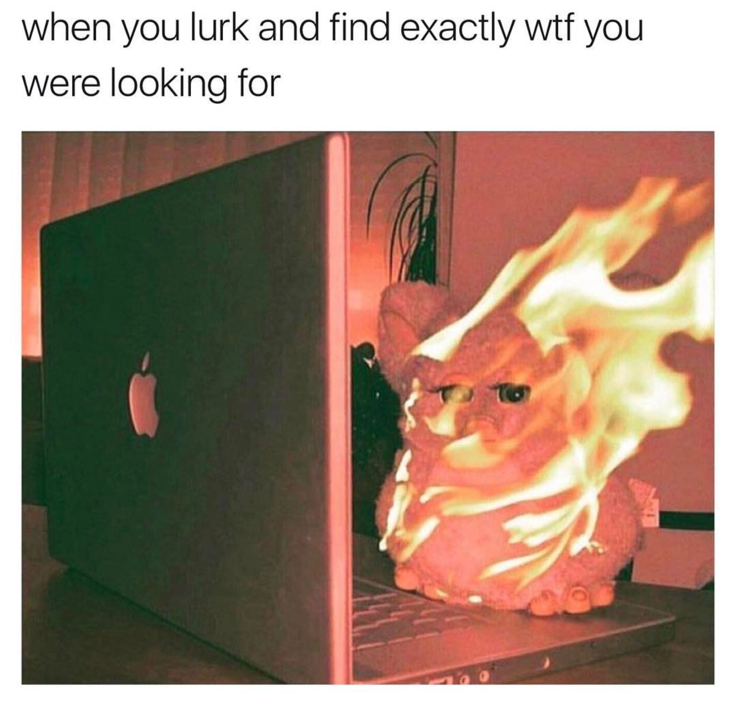 Okay, here's an analysis of the image and its associated text, broken down into relevant theoretical lenses. Given the nature of the meme, some of these will be more applicable than others. ## Visual Description The i...