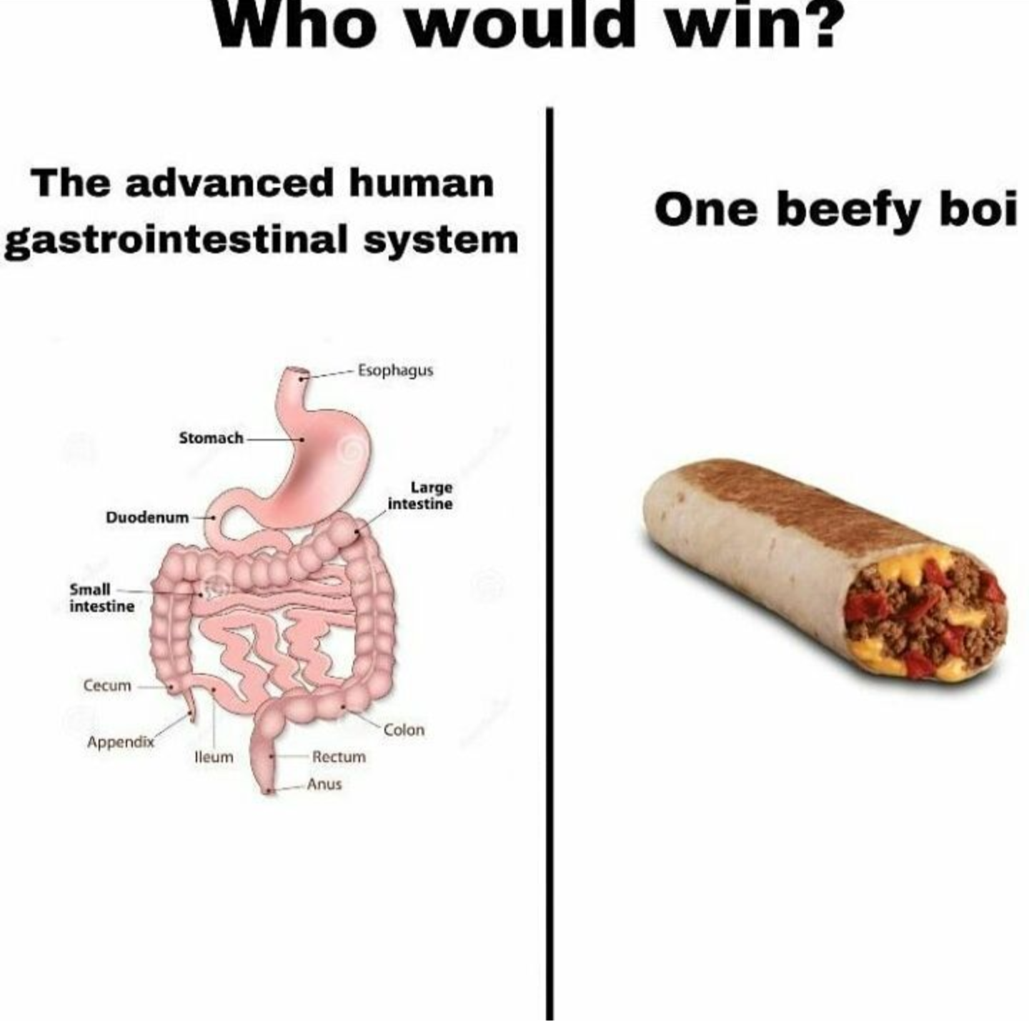 Okay, let's analyze this meme image – a bizarre "versus" challenge between the human digestive system and a large sausage – through the lenses you've requested. It's… a lot. I'll indicate where a topic *doesn't* readi...