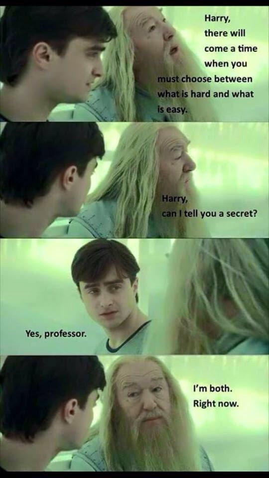 Okay, let's break down this meme featuring Dumbledore and Harry Potter through several theoretical lenses. It's a surprisingly rich little image when you start to deconstruct it. **Visual Description** The image is a...