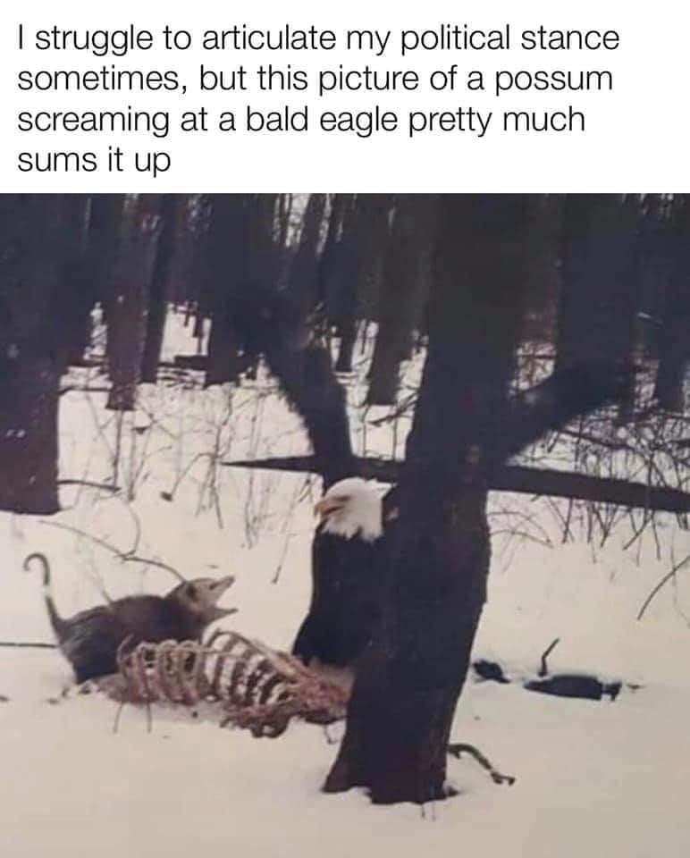 Okay, here's an analysis of the image and its accompanying text, broken down into sections based on the theoretical frameworks you requested. I'll indicate when a framework *doesn't* particularly apply. Given the inte...