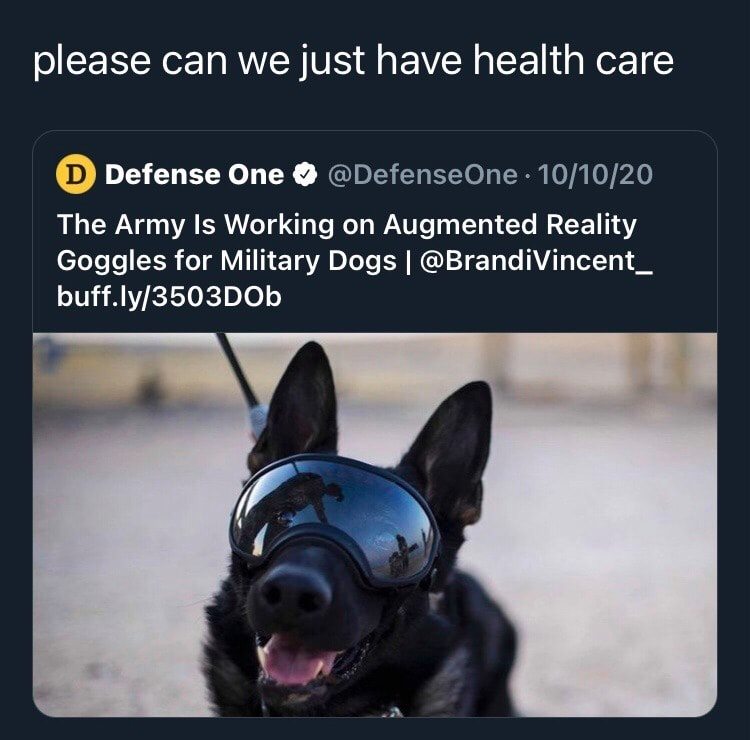 Okay, let's break down this image and tweet through various critical theory lenses. ## Visual Description The image shows a close-up of a German Shepherd dog wearing what appears to be a pair of specialized goggles. T...