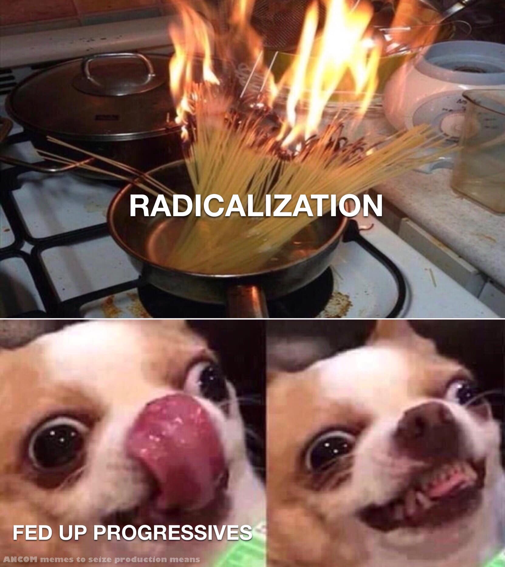 Okay, let's break down this meme using the frameworks you've provided. It's a fairly dense image with a lot of potential for interpretation, especially given the loaded political terminology. ## Visual Description The...