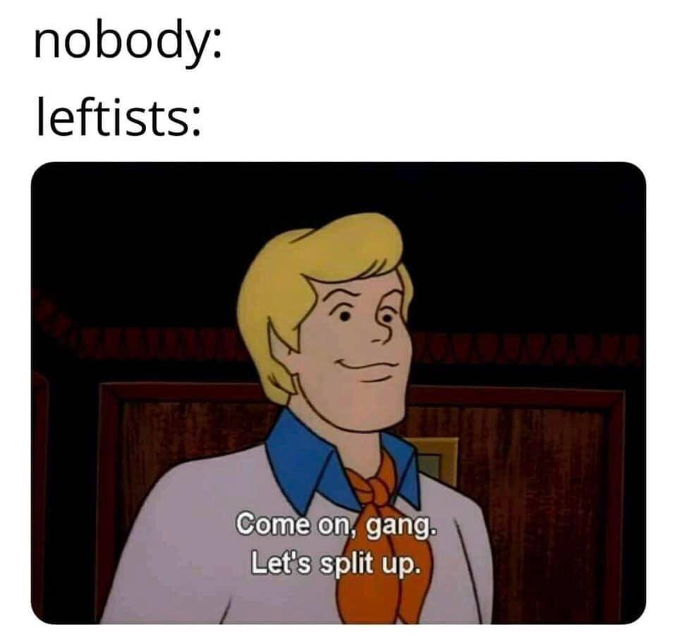 Okay, let's break down this meme through various theoretical lenses. It's worth noting that this meme relies heavily on an established internet trope and a specific understanding of "leftist" political dynamics, so th...