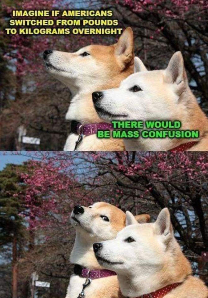 Okay, let's break down this meme through various theoretical lenses. ## Visual Description The image is a double panel meme featuring two Shiba Inu dogs, also known as "doge". Both panels feature the dogs, in a simila...
