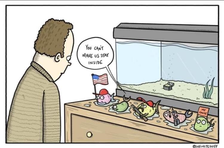 Okay, let's break down this political cartoon through the lenses you've provided. **Visual Description** The cartoon depicts a man, seen from the back, standing before a fish tank. Inside the tank are multiple fish, m...