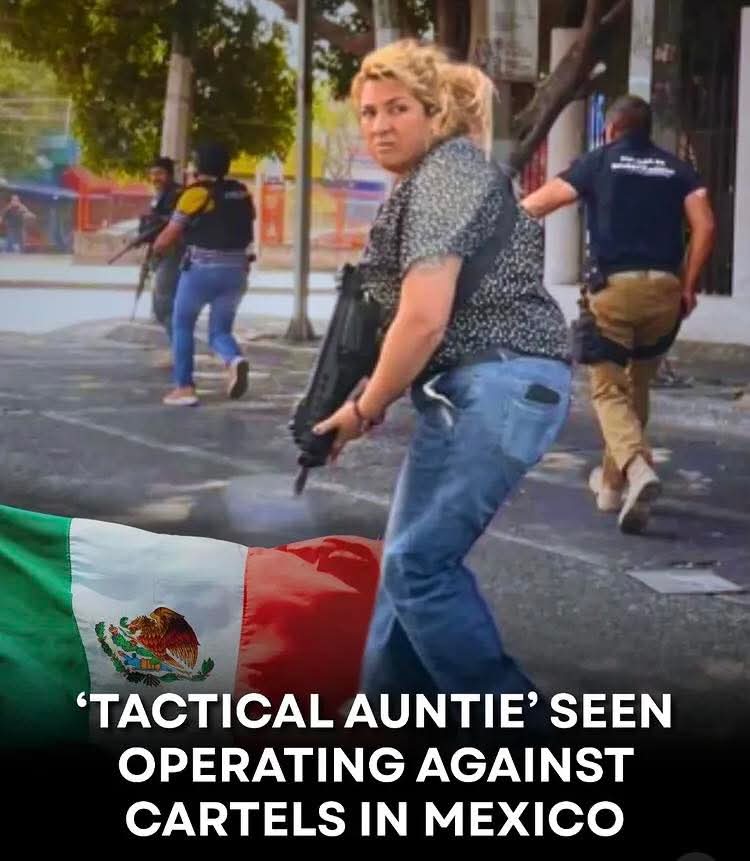 This meme reframes community defense from a purely police-centric view to one of broad resistance against authoritarian forces. By labeling the armed woman as a "tactical auntie," it suggests that opposing cartels inv...