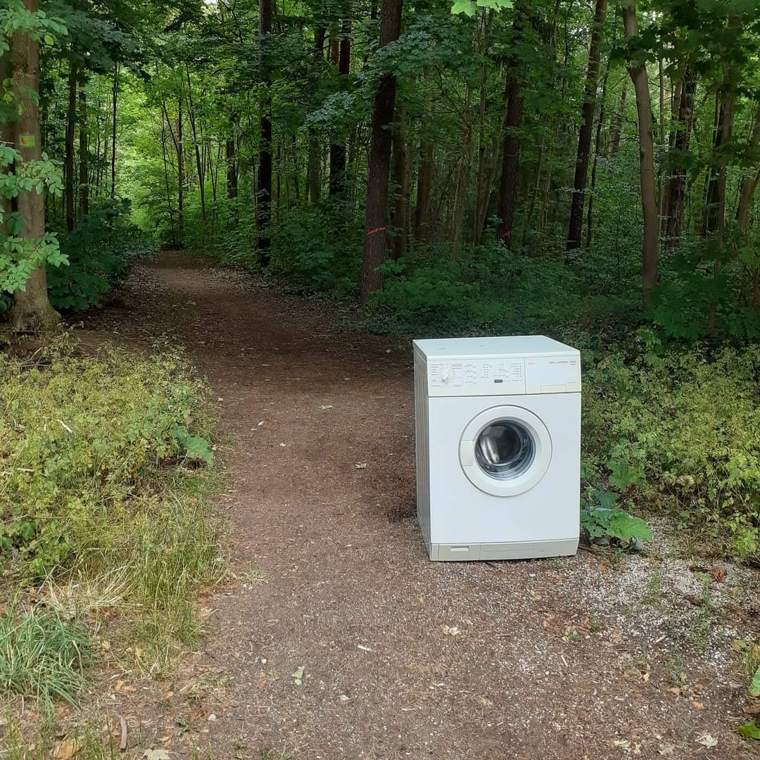 Okay, here's an analysis of the image, broken down into the requested theoretical frameworks where applicable. Given the image, some categories are more relevant and developed than others. ## Visual Description The im...