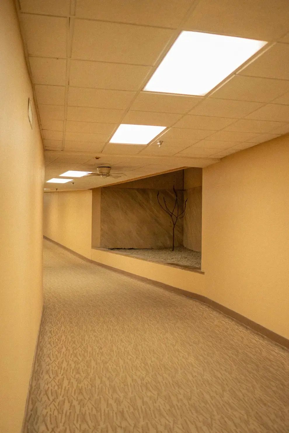 Okay, here's an analysis of the image broken down into the requested sections, based on how well each theoretical framework applies. Some sections will be more robust than others, as not all lenses are equally relevan...