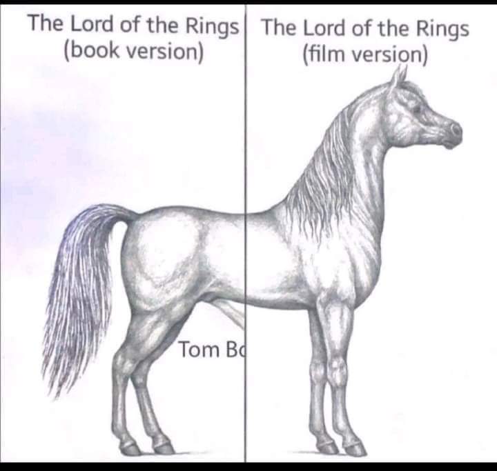 This meme is a comparison between the physical appearance of a horse in the book version of "The Lord of the Rings" (LoTR) and the film version. The image shows a horse with a long, flowing mane and a majestic body, w...