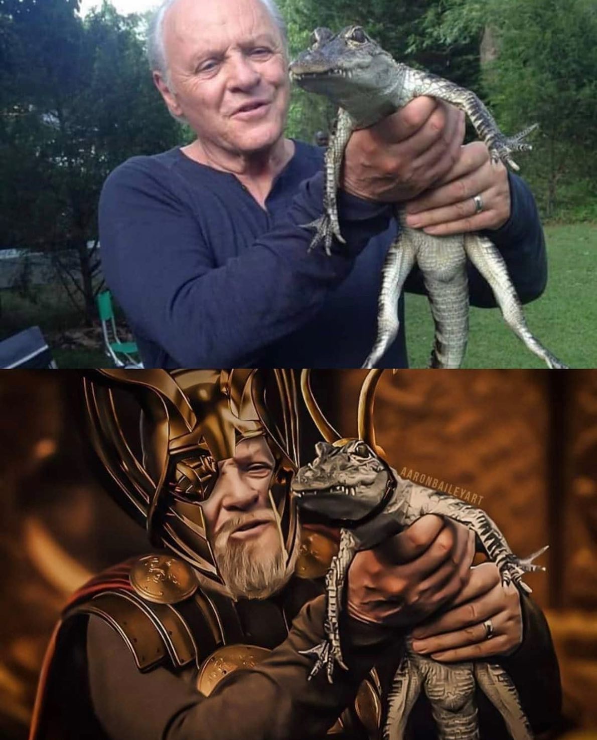 Okay, here's an analysis of the image pair, broken down into the requested theoretical sections. It's important to note that some of these lenses are *much* more applicable than others, and forcing a fit can be artifi...