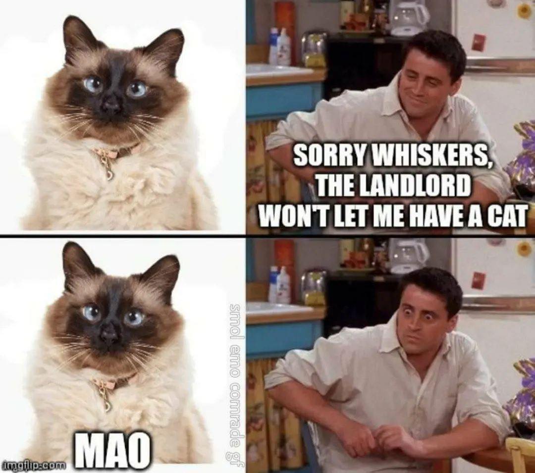 Okay, let's break down this meme using the theoretical frameworks you've requested. It's a surprisingly rich image for analysis, given its initial simplicity. **Visual Description** The meme is a four-panel image, for...