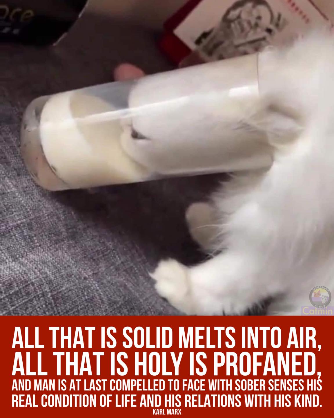 Okay, let's break down this image and its accompanying text through the lenses of the theoretical frameworks you’ve requested. Be aware that applying these complex theories to a single image is often interpretive and...