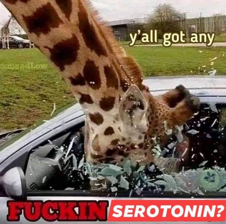 Okay, let's break down this… uniquely disruptive image with the requested theoretical lenses. It's… a lot. Be warned, this will be a bit sprawling due to the nature of the prompt and the image itself. **Visual Descrip...